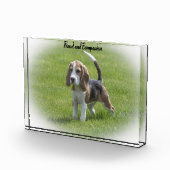 Beagle Dog Fotoblock (Rechts)