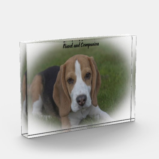 Beagle Dog Fotoblock (Links)