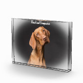 Beagle Dog Fotoblock (Rechts)