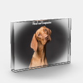 Beagle Dog Fotoblock (Links)