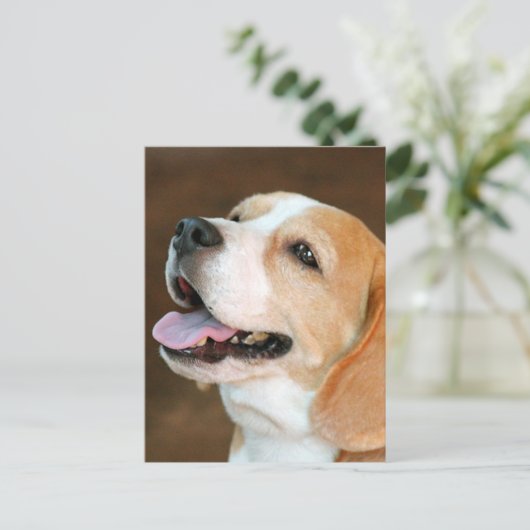 Beagle Dog Postkarte (Stehend Vorderseite)