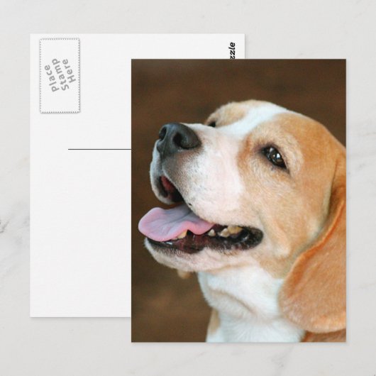 Beagle Dog Postkarte (Vorne/Hinten)