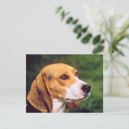 Beagle Dog Postkarte (Stehend Vorderseite)