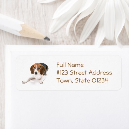 Beagle Dog Rücksendeadresse Mailing Label (Insitu)
