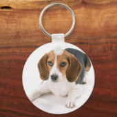 Beagle Dog Schlüsselanhänger (Vorderseite)