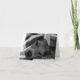 Beagle Dog Snoopy nah-up Foto Karte