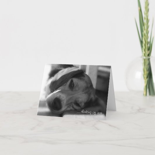 Beagle Dog Snoopy nah-up Foto Karte (Vorderseite)