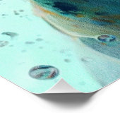 Beagle dog swimming in water 002 poster (Ecke)