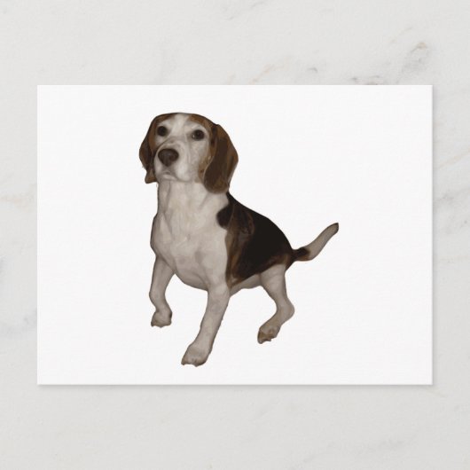 Beagle, dritter postkarte (Vorderseite)