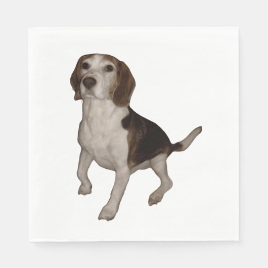 Beagle, dritter serviette (Vorderseite)