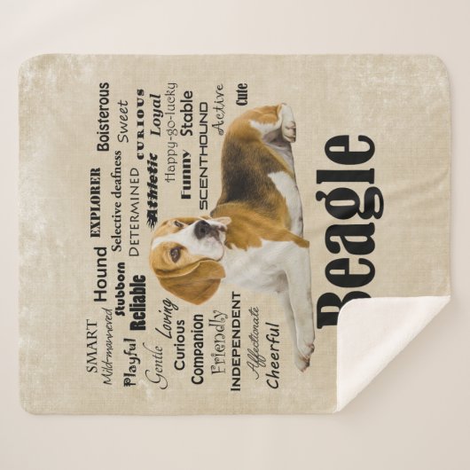 Beagle-Eigenschaften Sherpadecke (Vorderseite (Horizontal))