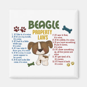 Beagle-Eigenschaftengesetze 4 Magnet