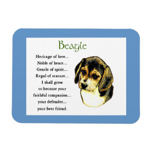 Beagle Erbe der Liebe Magnet