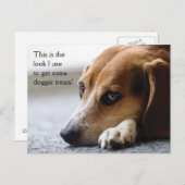 Beagle "Extra Doggie Leckereien" Postkarte (Vorne/Hinten)
