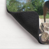 Beagle-Felsen-Mausunterlage, die Fassbinder Mousepad (Ecke)