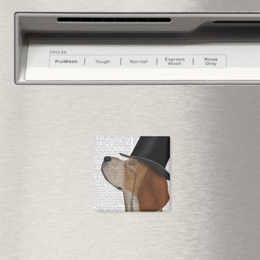 Beagle, Festhund und Hut Magnet (In Situ (Geschirrspüler))