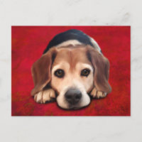 Beagle Fine Art Dog Art Malerei
