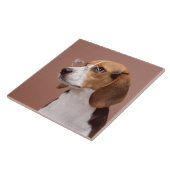 Beagle Fliese (Seite)