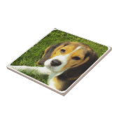 Beagle-Fliese Fliese (Seite)
