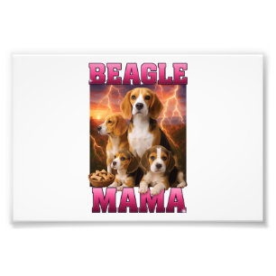 Beagle  fotodruck