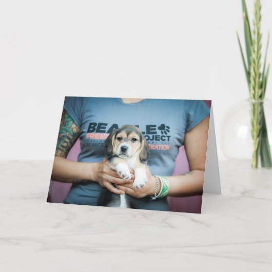 Beagle Freedom Pup on T - Shirt Karte (Vorderseite)