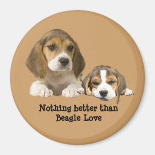 Beagle-Freund-Magnet Magnet