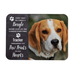 Beagle-Gedenkstätte Magnet