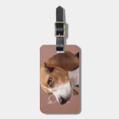 Beagle Gepäckanhänger (Vorderseite vertikal)