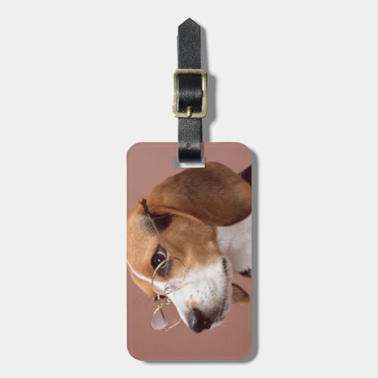 Beagle Gepäckanhänger (Vorderseite vertikal)