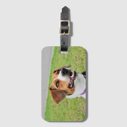 Beagle Gepäckanhänger (Vorderseite Vertikal)