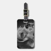 Beagle Gepäckanhänger (Vorderseite vertikal)