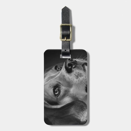 Beagle Gepäckanhänger (Vorderseite vertikal)