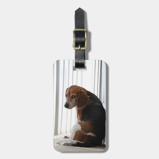 Beagle Gepäckanhänger (Vorderseite vertikal)