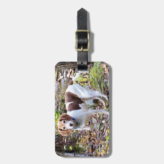 Beagle Gepäckmarke Gepäckanhänger (Vorderseite vertikal)