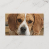 Beagle-Geschäfts-Karte Visitenkarte (Rückseite)