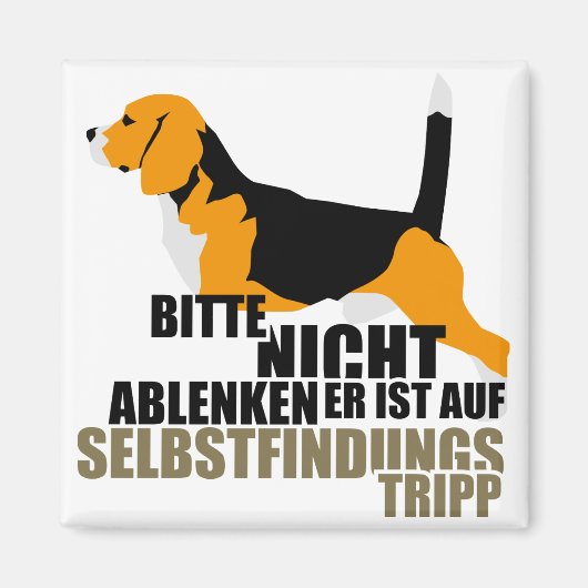 Beagle Geschenke Magnet (Vorne)