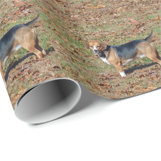 Beagle Geschenkpapier (Rolleneckpunkt)