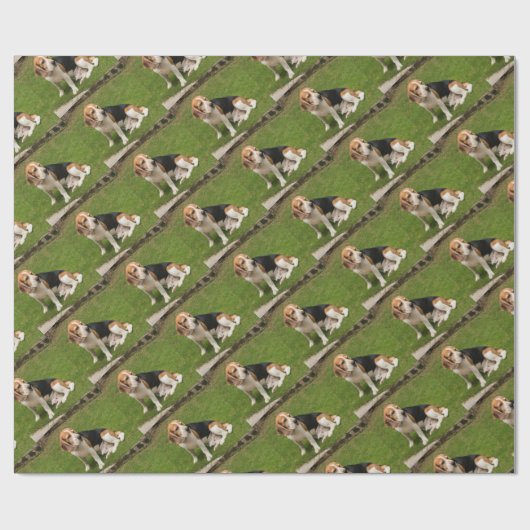 Beagle Geschenkpapier (Flach)