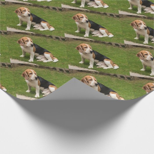Beagle Geschenkpapier (Ecke)