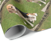 Beagle Geschenkpapier (Rolleneckpunkt)