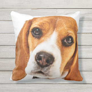 BEAGLE-GESICHTS-FOKUS KISSEN FÜR DRAUßEN