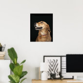 Beagle Golden Lab Mix looking to the side Poster (Heimbüro)