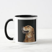 Beagle-goldene Labrador-Mischung, die zur Seite Tasse (Links)