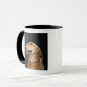 Beagle-goldene Labrador-Mischung, die zur Seite Tasse (Vorderseite Links)