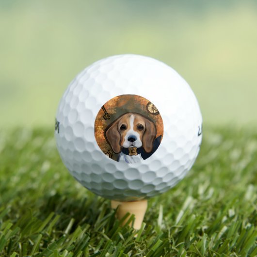Beagle Golfball (Insitu T-Shirt)