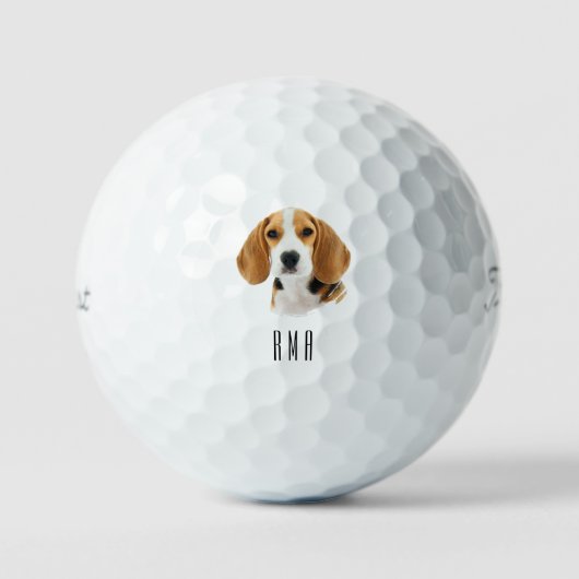 Beagle Golfball (Vorderseite)