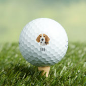 Beagle Golfball (Insitu T-Shirt)