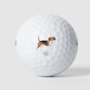 Beagle Golfball