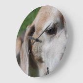 Beagle Große Wanduhr (Winkel)