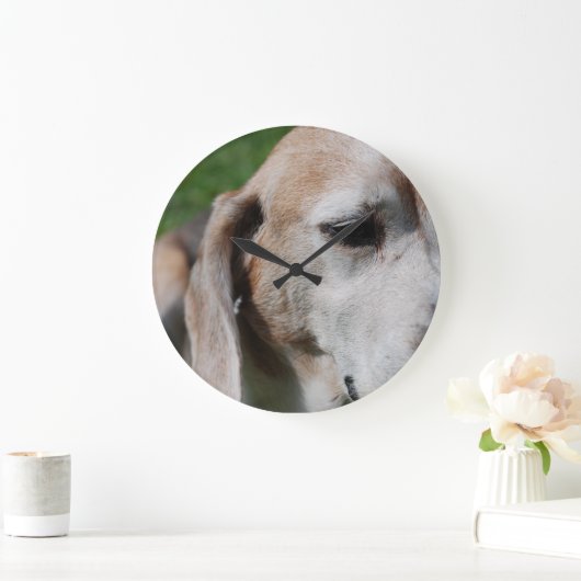 Beagle Große Wanduhr (Zuhause)